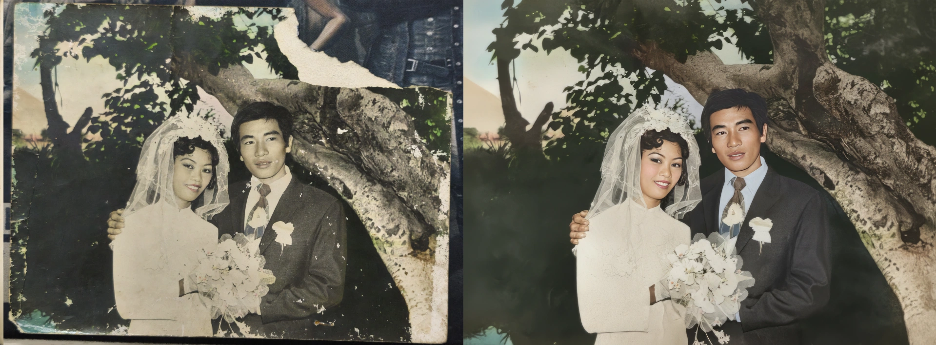 Phục Chế Ảnh Cũ Cam Ranh Giá Rẻ | Phục Hồi Ảnh Cũ Cam Ranh Giá Rẻ